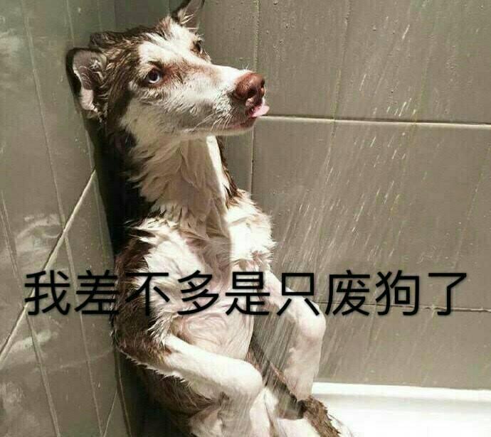 过年期间你经历的最有趣的故事是什么