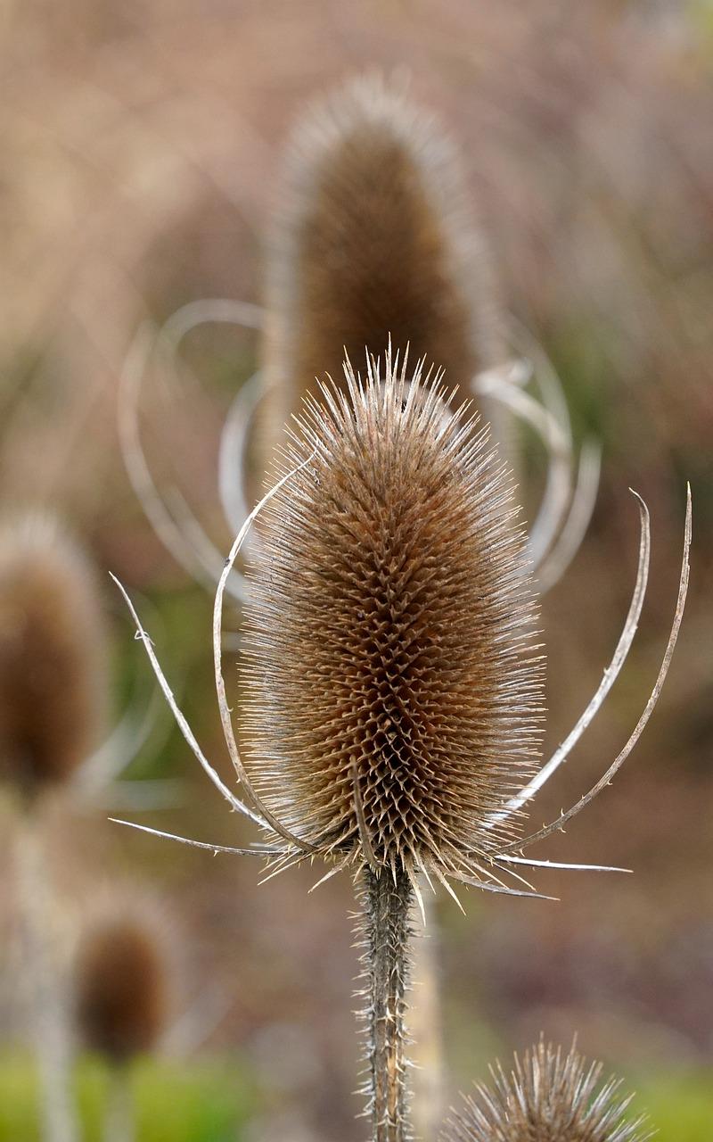 2. 产品差异化优势