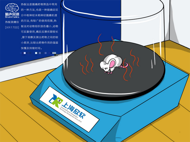 脑声常谈：智能热板仪测试小鼠慢性疼痛还是急性疼痛研究？ 知乎 