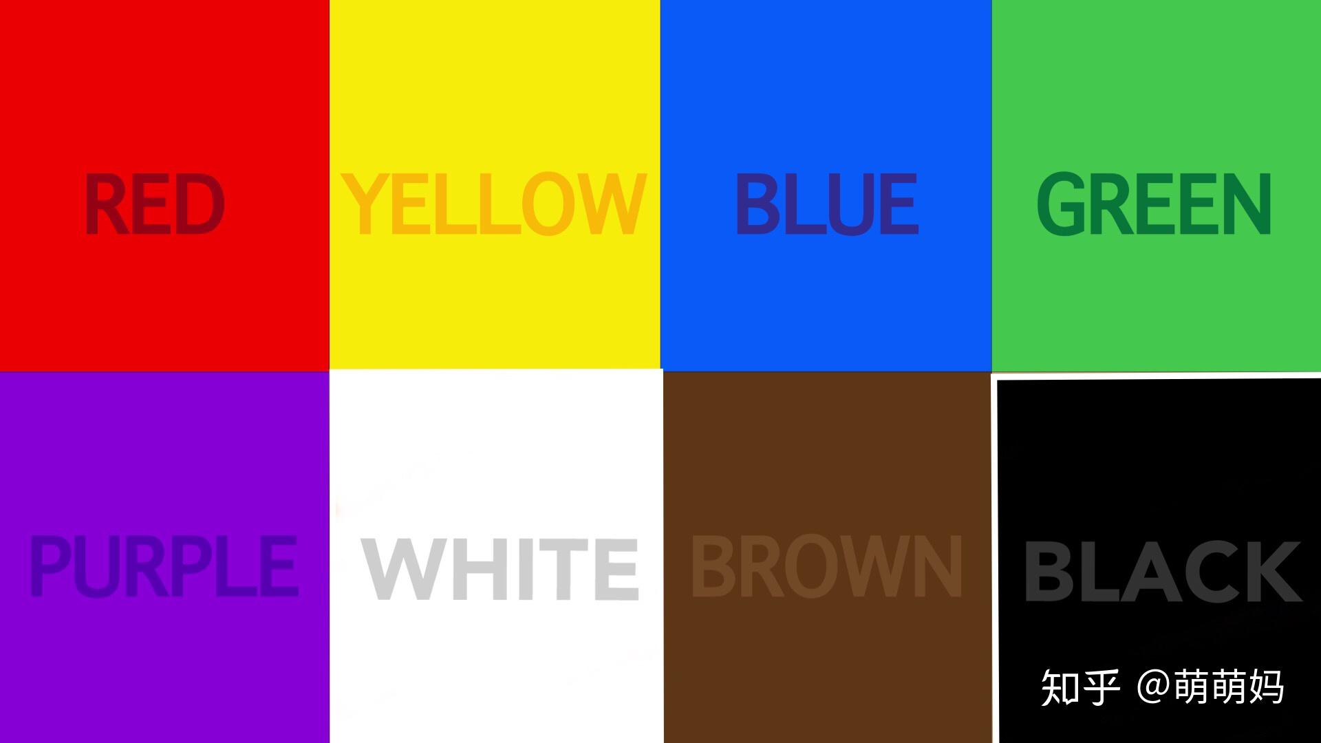 绘本扩展brownbear