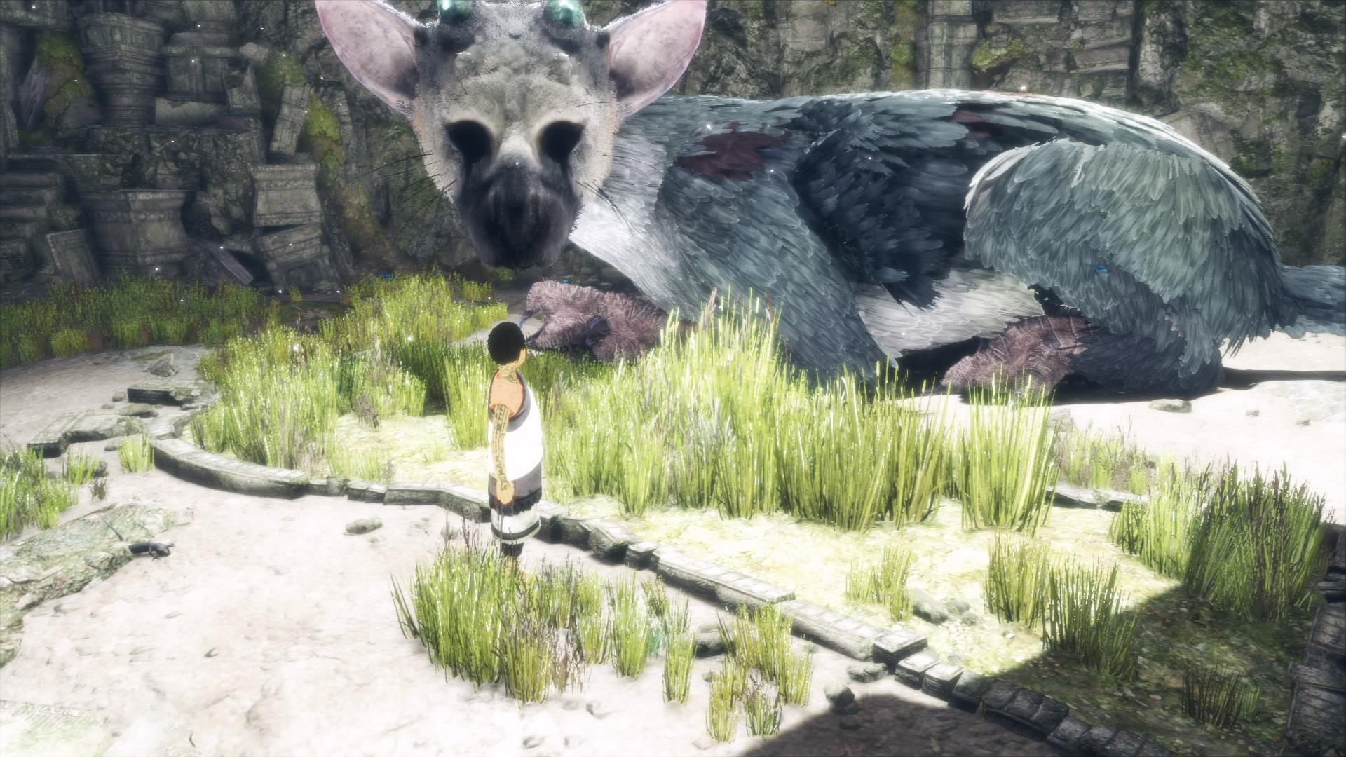 如何评价游戏最后的守护者thelastguardian