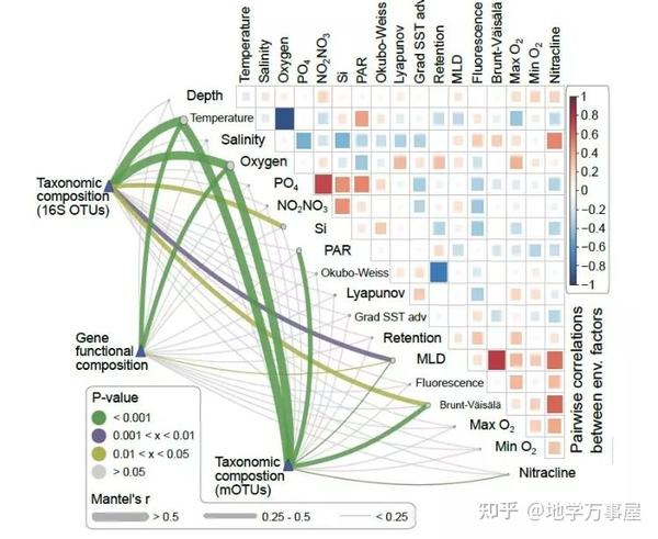 R语言绘制Nature相关性热图 - 知乎
