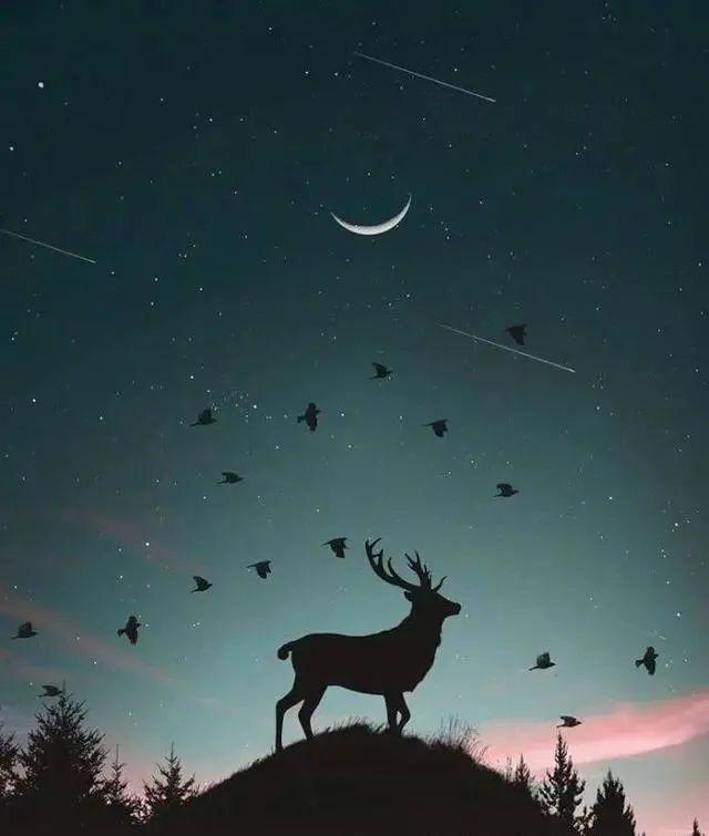 有哪些晚安语录或电台，让你觉得夜晚特别温柔？ - 知乎