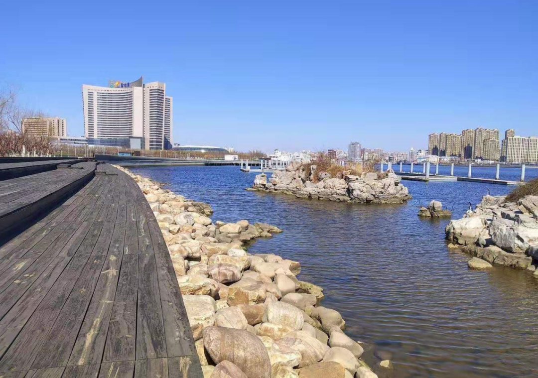 彩带公园周边公共交通方便,市区游客可乘坐津滨轻轨9号线塘沽站转乘