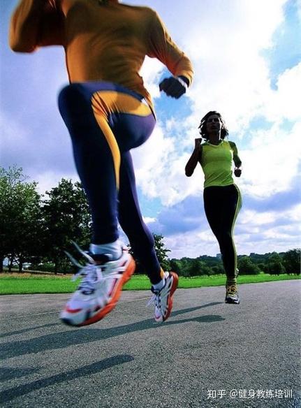 垂直纵跳和单腿起跳过程中,不同鞋中底屈曲刚度的运动鞋对于运动表现