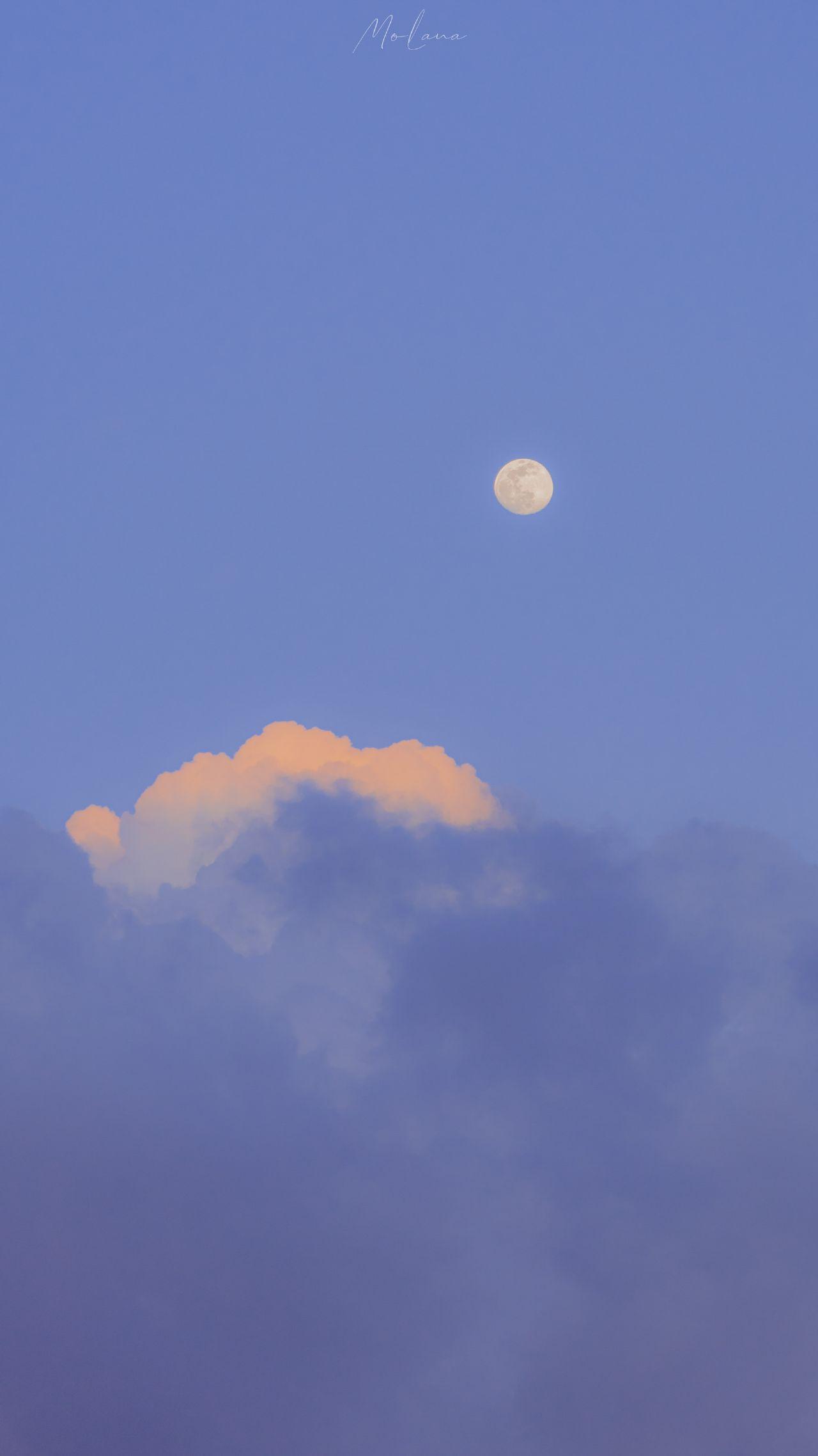 有哪些惊艳美好却小众的句子