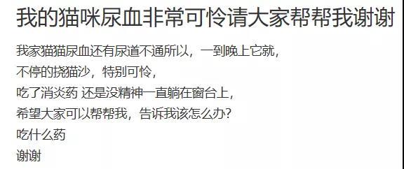 尿闭、尿血、尿淋漓，猫咪泌尿问题反反复复，可能是弄混了这3种病！ - 知乎