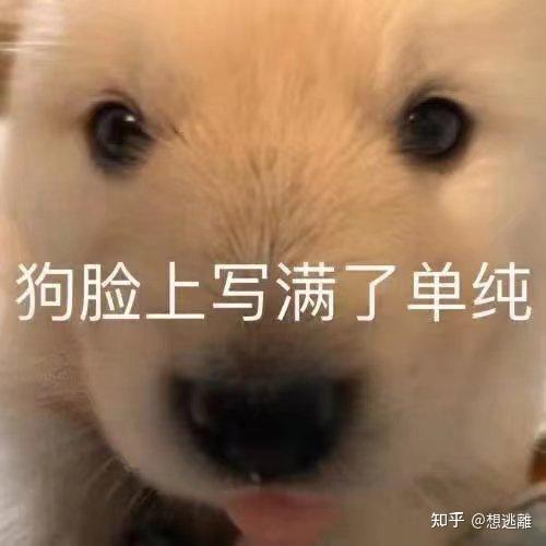 斗图必备搞笑表情包|啊对对对 你说的都对 - 知乎