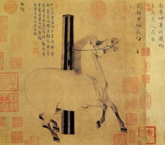 换回了两匹汗血马,玄宗高兴得为两匹马亲自取名为"玉花骢"和"照夜白"