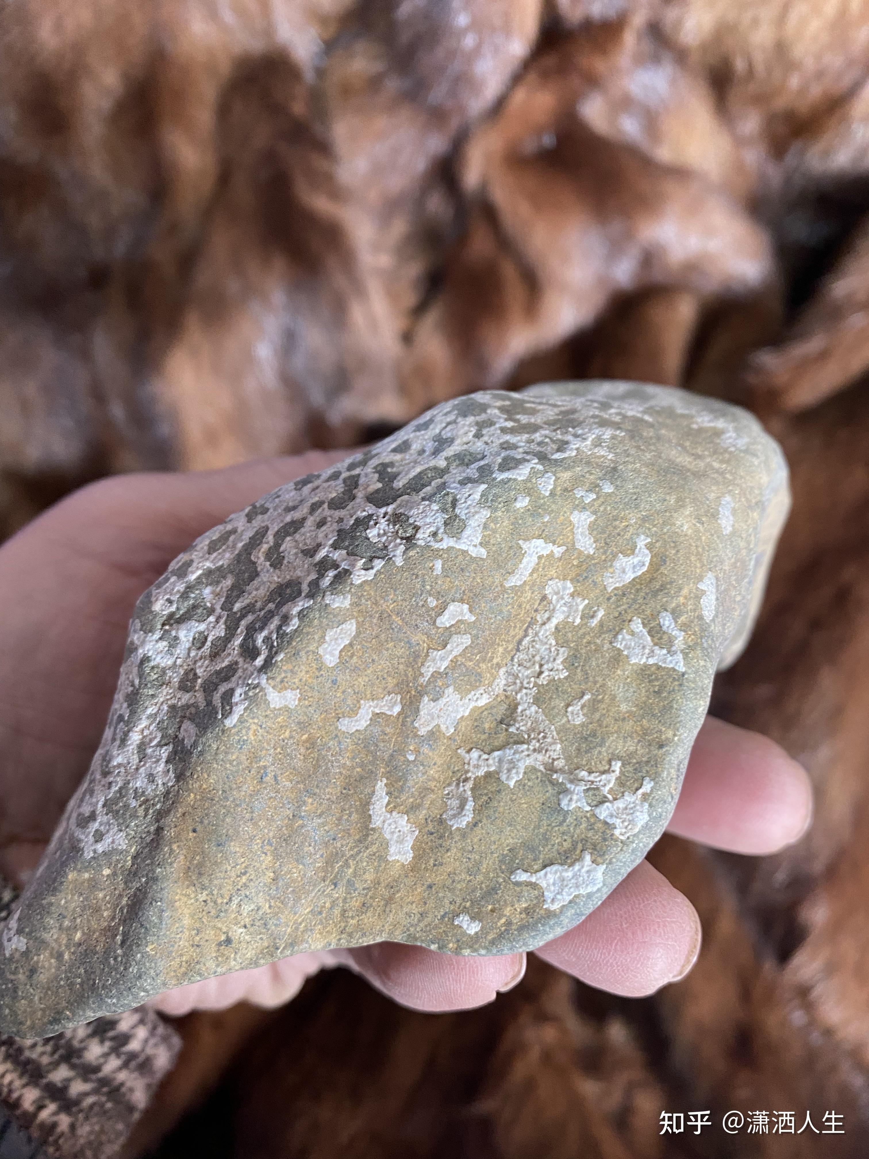 说说家乡陨落区碳质陨石一〇二