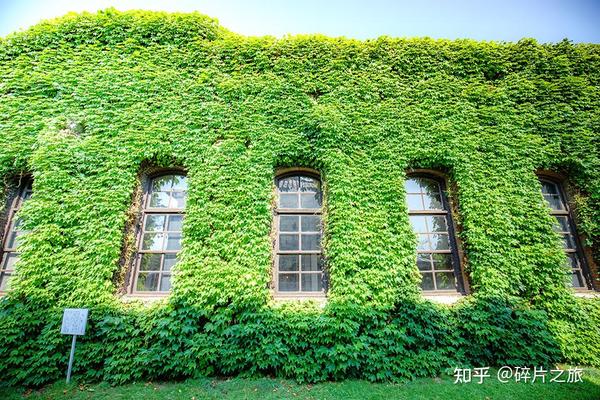 日本仓敷的万般美好，都藏在这小众的极致里 - 知乎