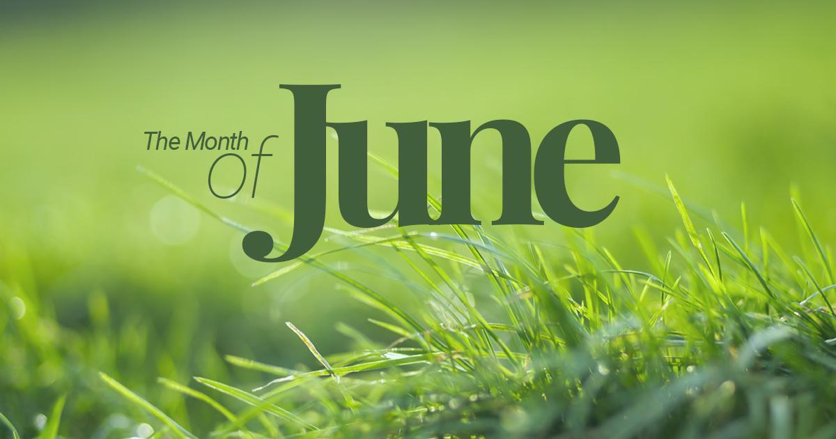 每日一词-六月JUNE