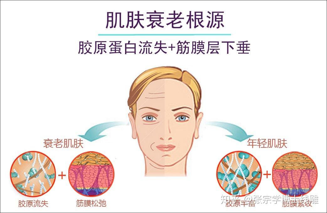 我们的皮肤有一层叫做筋膜层,它是主要负责肌肉动作连动到皮肤,做出