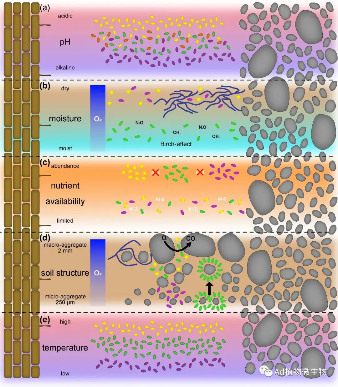 theplantjournal如何塑造土壤微生物群落