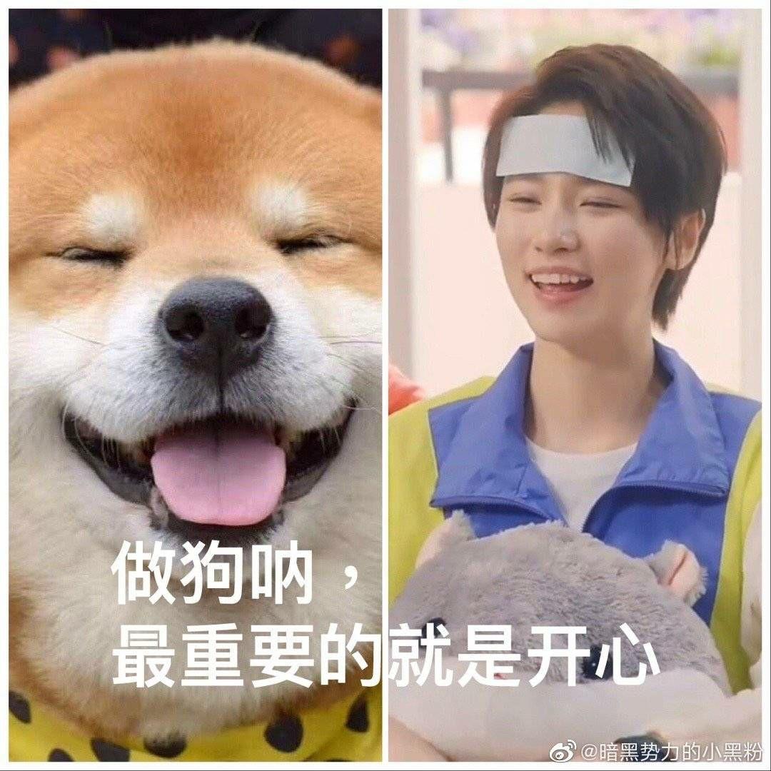 《爱情公寓5》诸葛大力的扮演者成果会火吗?