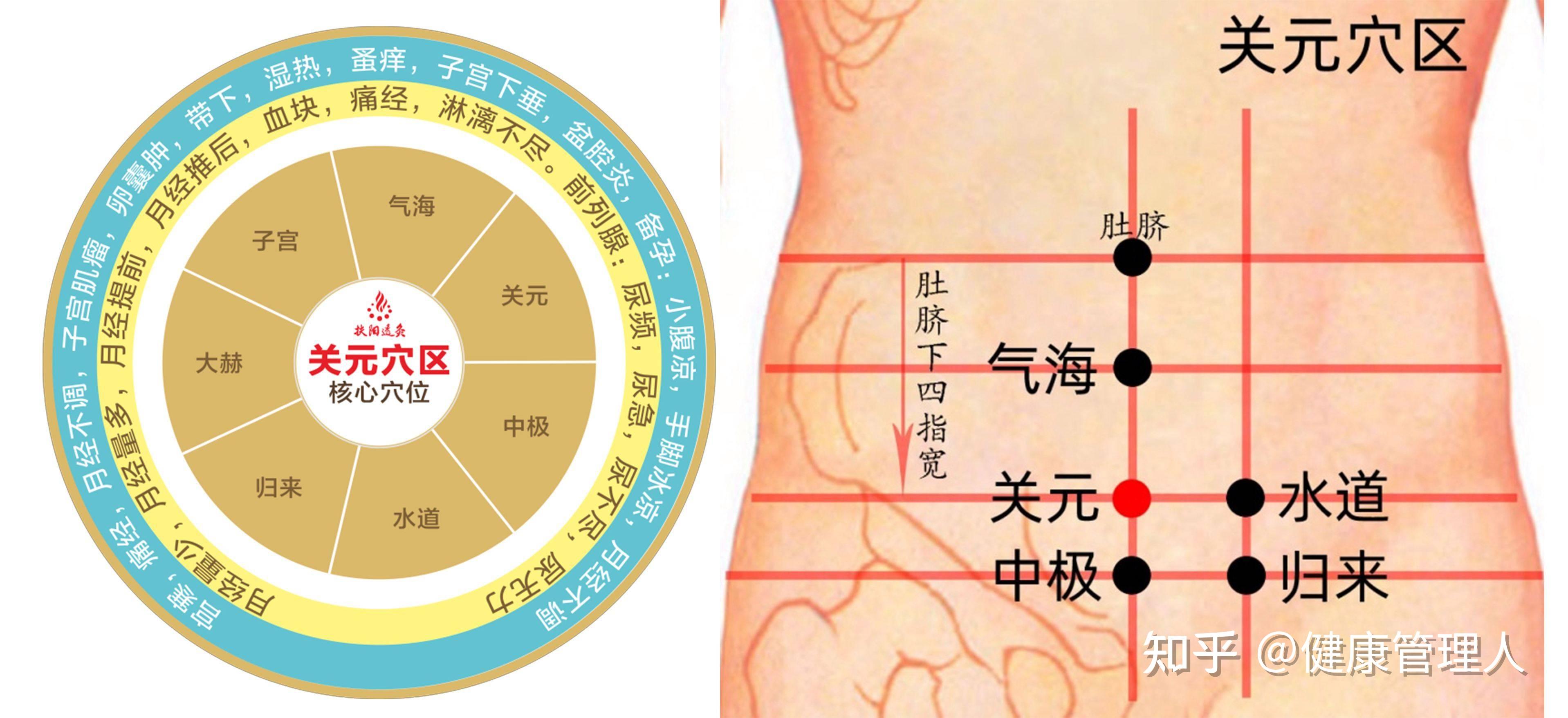 三伏天灸透这四穴，可祛除一身之疾 - 知乎