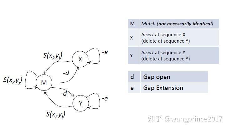 的选择(scoring matrix)dna序列比对的替换打分矩阵等价矩阵(unitary
