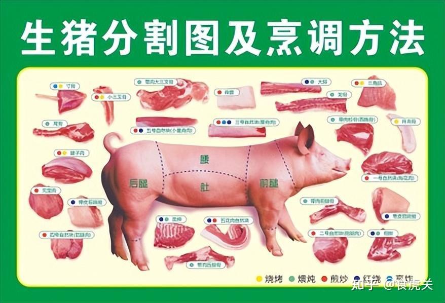 前腿肉、后腿肉、里脊肉、五花肉,怎么选购? - 知乎