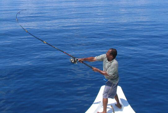 钓线的伸长分为可回复的弹性伸长变形和不可回复的