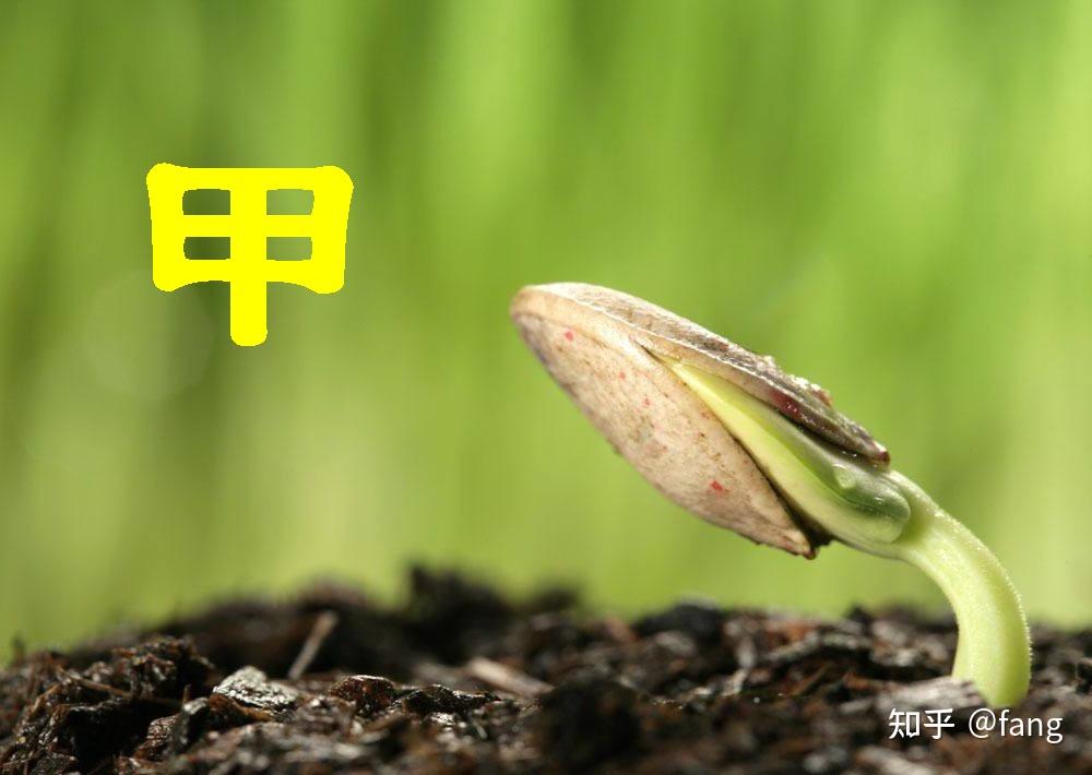wikipedia中的pedia在这个词里有什么具体含义 百度知道