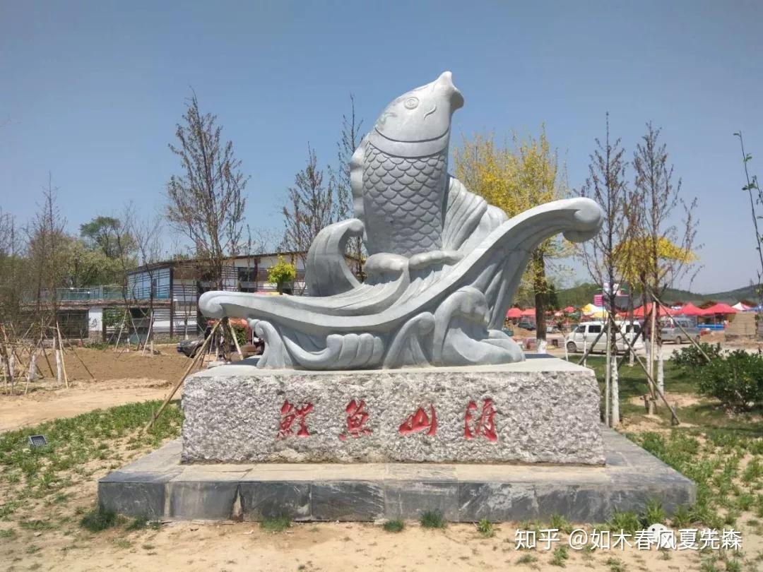 高中时,所投合的陈志立同学反复向我展望鲤鱼山的未来,我当时不以为然