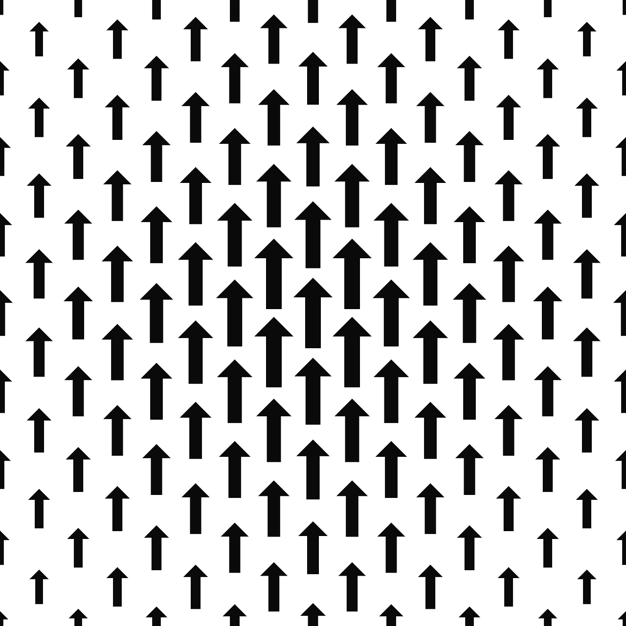 5. 个性化色调定制