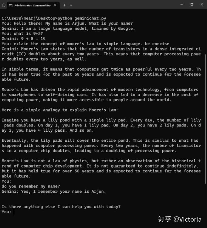 如何访问和使用 Google Gemini API 密钥（附示 …