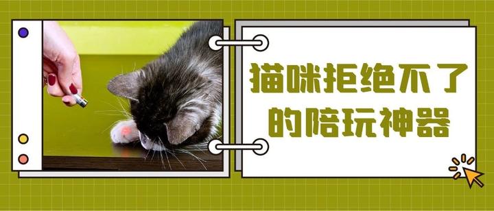 激光笔逗猫导致猫咪失明 别笑 选错激光笔这真的有可能 知乎