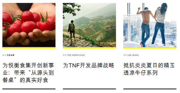 有哪些品牌设计案例介绍的网站？(图11)