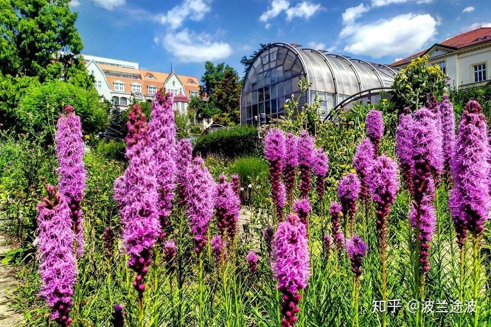 捷克留学马萨里克大学专业设置与申请解读