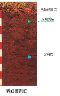 土壤教学经典用图30张! - 知乎