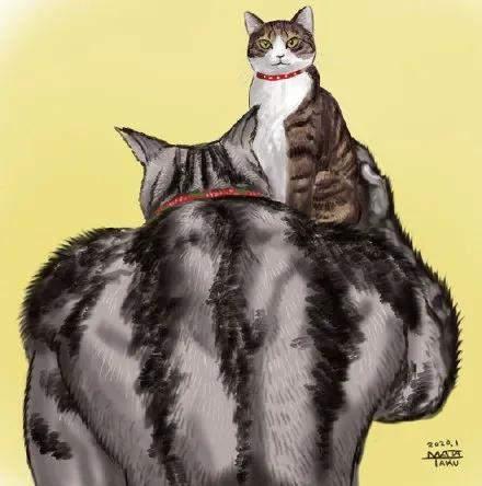 别看它现在猫狠话不多,脾气很暴躁的.