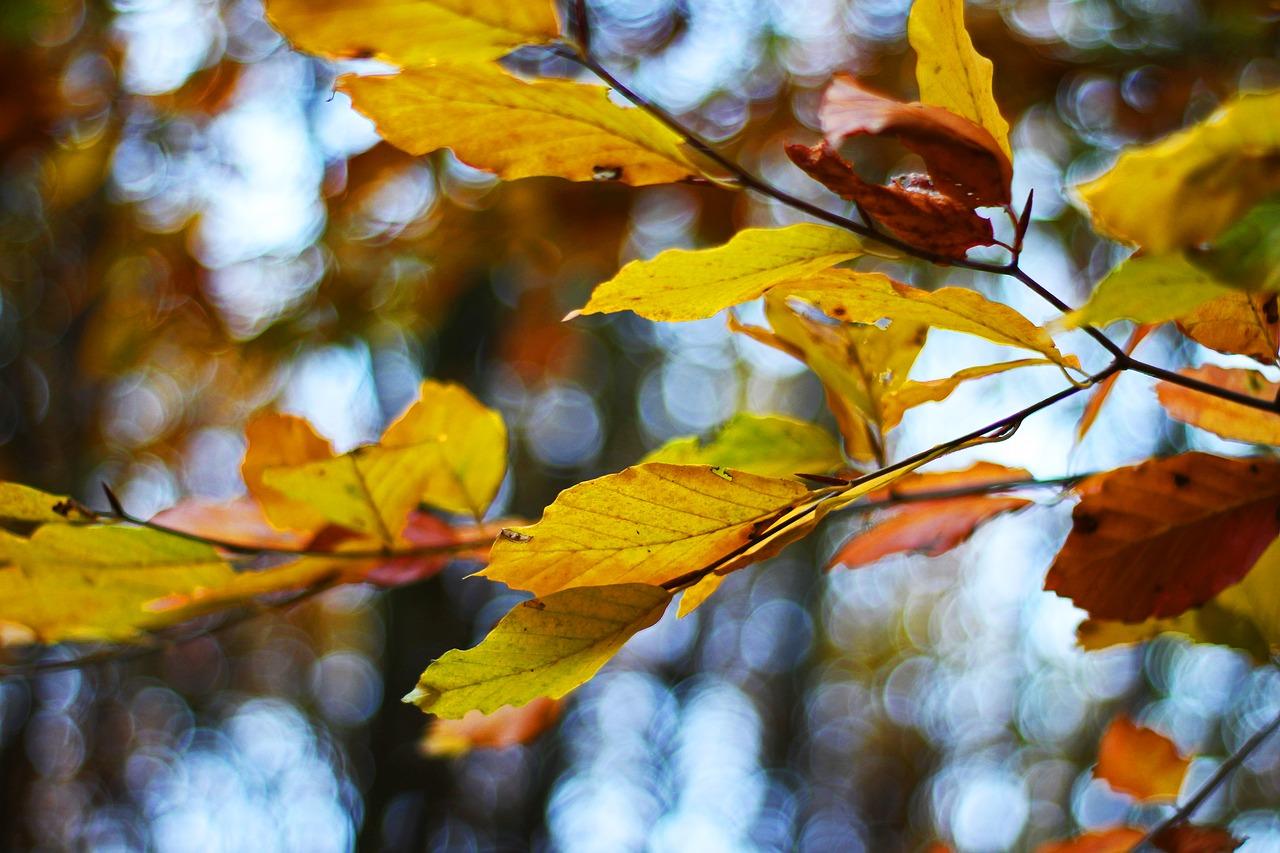 3. 防滑耐磨特点