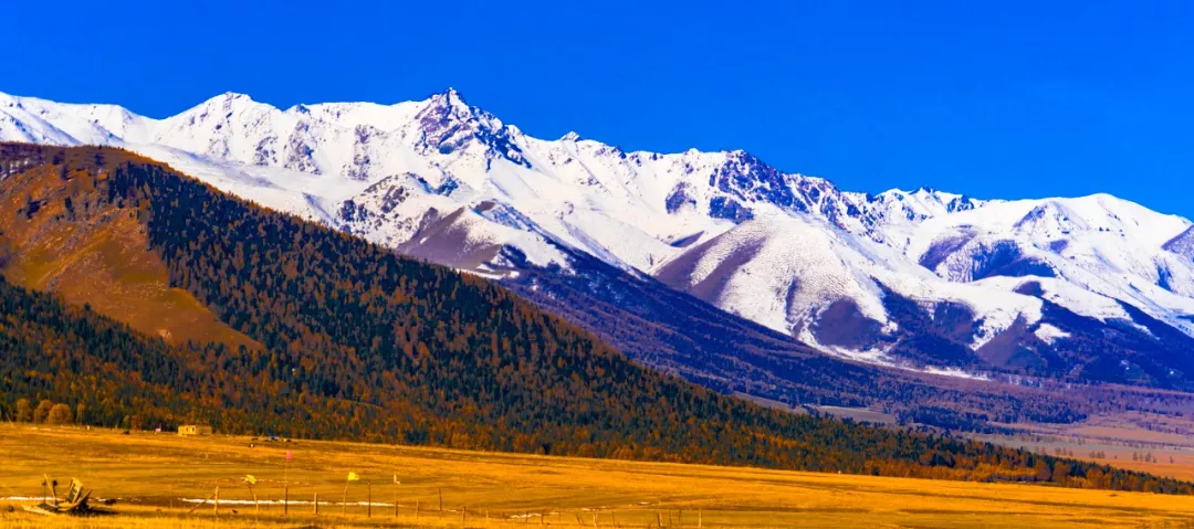 天地有大美新疆占六分之一