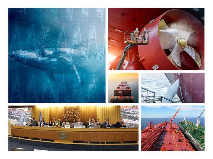 国际海事组织 海洋环境保护委员会第80届会议主要事项总结 知乎