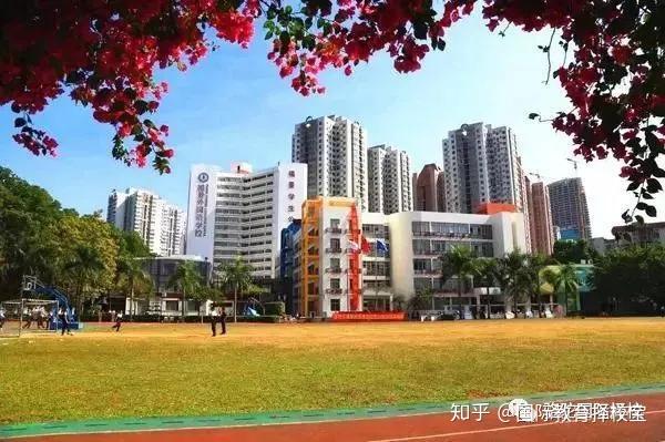 深圳深美国际学校图片