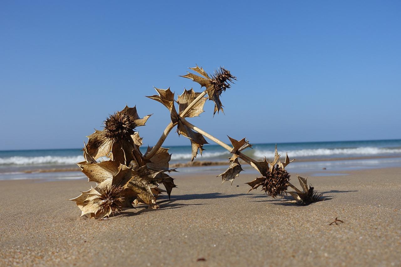 1. 颐海地段优势