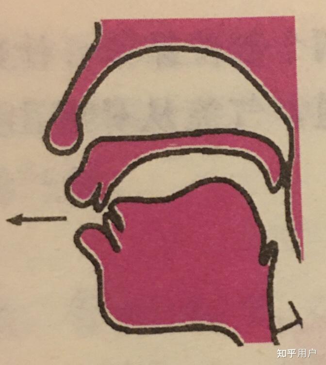 如何区分平舌音和翘舌音? - 知乎