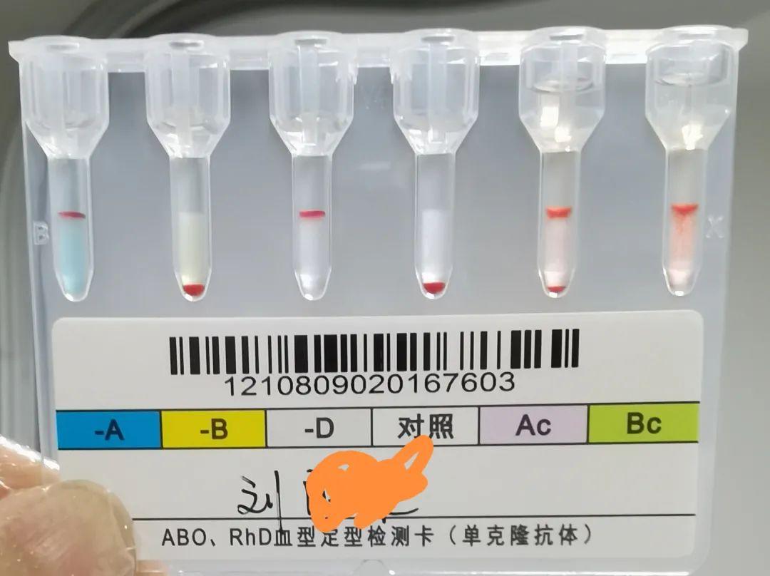 ABO、Rh（D）血型定型检测卡-中山市生科试剂仪器有限公司