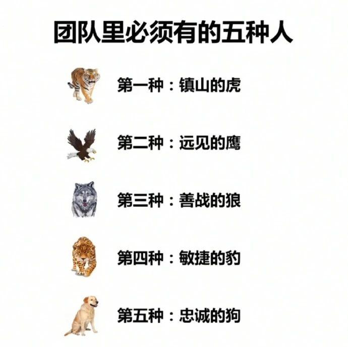 秀翻全场的搞笑图片16