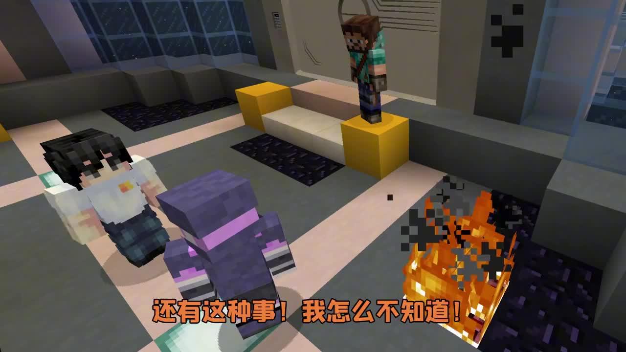 mc流浪者日记55阿阳和海盗打了起来末影兽给他们做人工呼吸