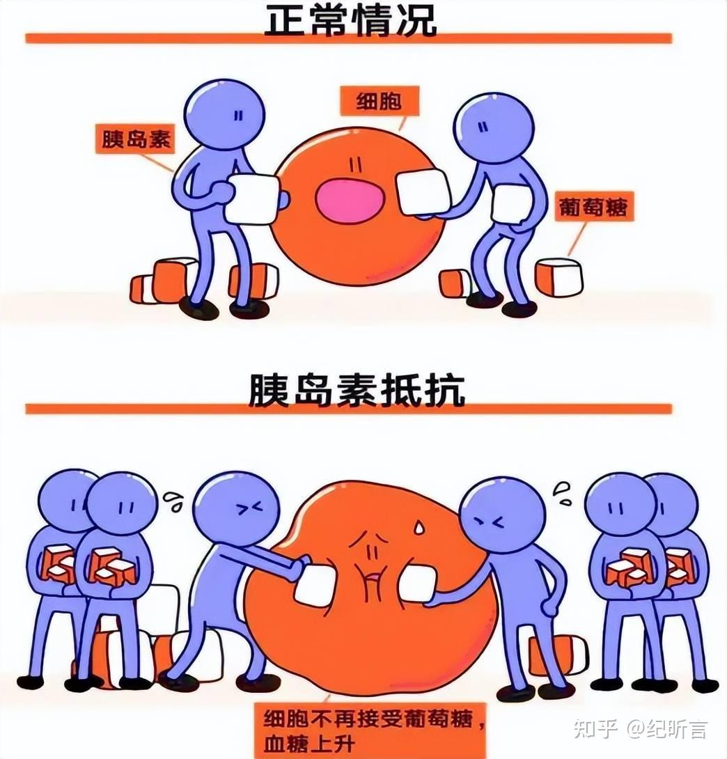 肥胖与三高之——高血压 - 知乎