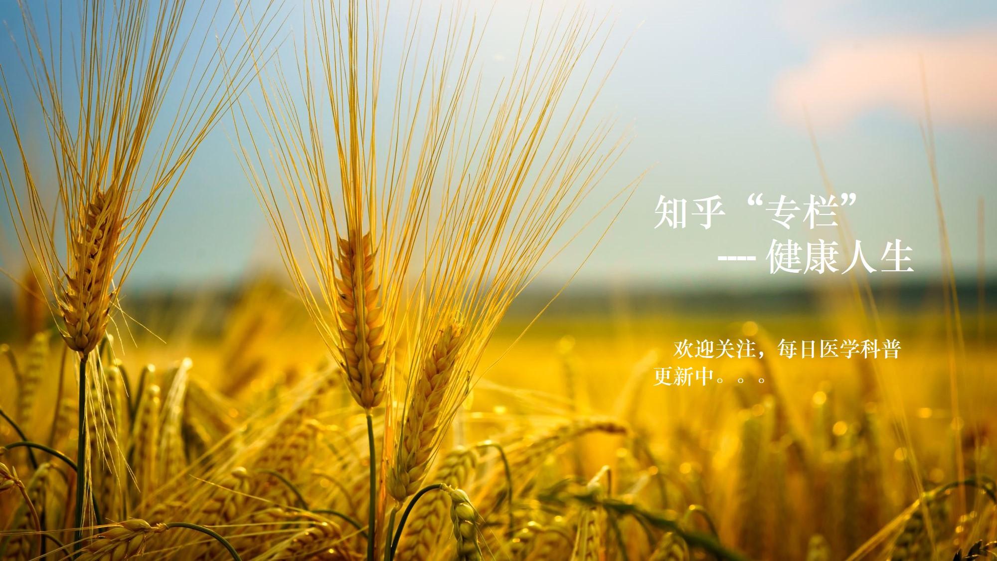 银杏叶能防止记忆丧失和改善认知功能吗？ - 知乎