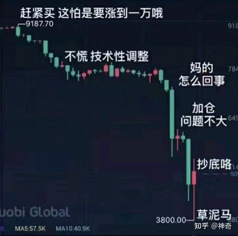 米兰体育- 米兰体育官方网站- 米兰体育APP下载杨德龙：中东冲突对资本市场影响日渐式微｜立方大家谈