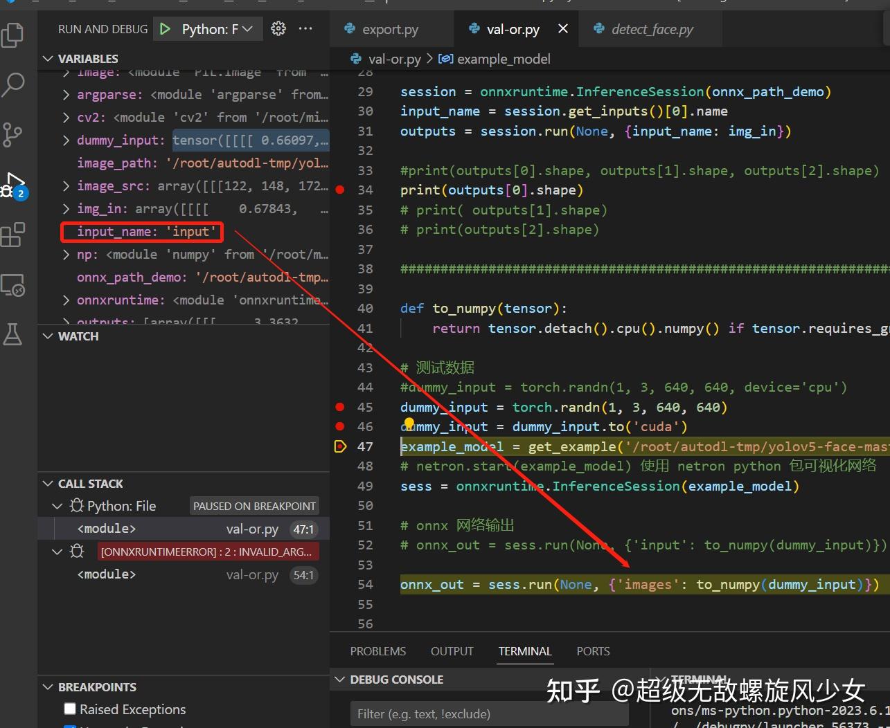 报错处理：[ONNXRuntimeError] : 2 : INVALID_ARGUMENT : Invalid Feed Input ...