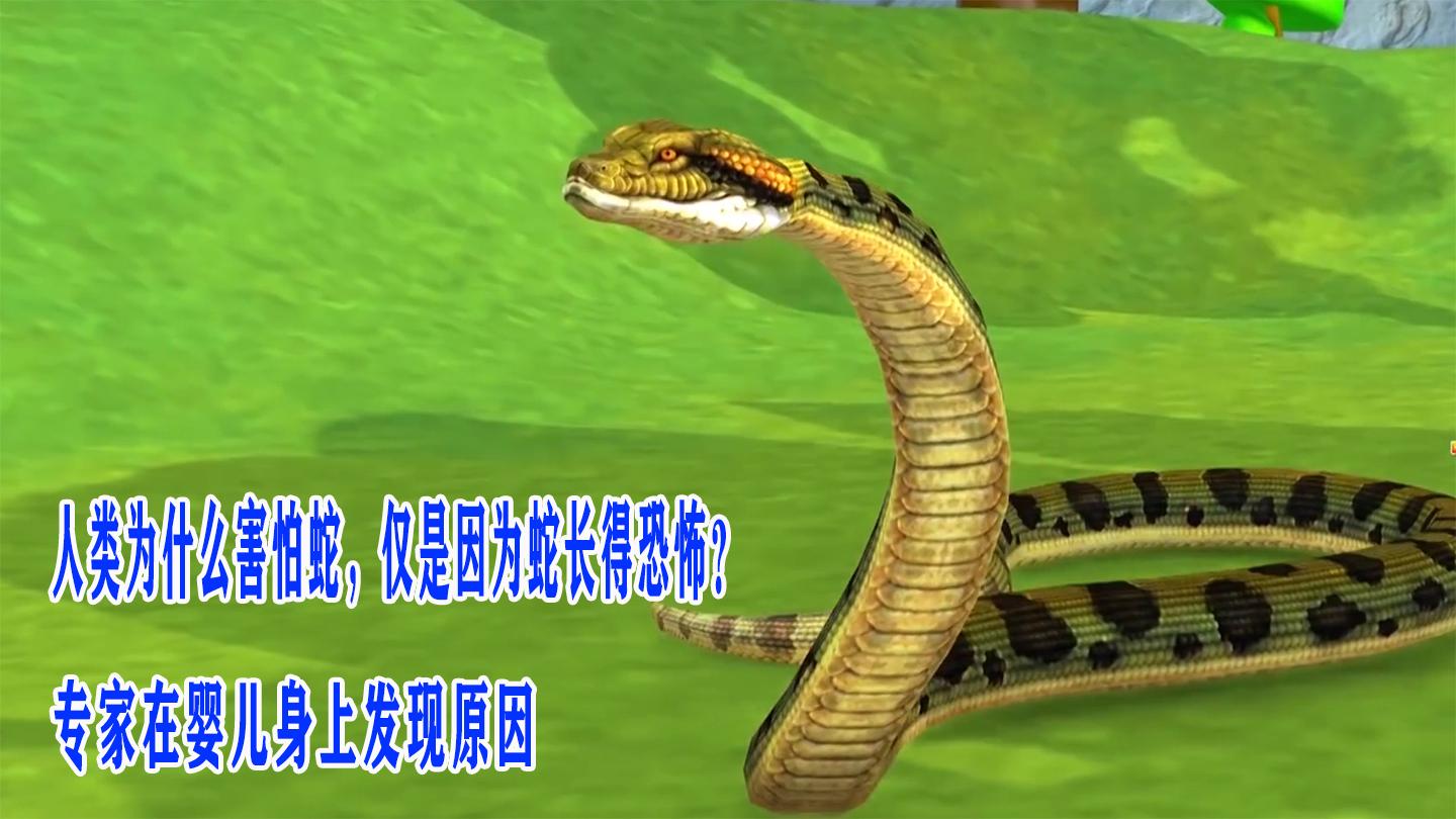 为什么人类那么害怕蛇? - 知乎