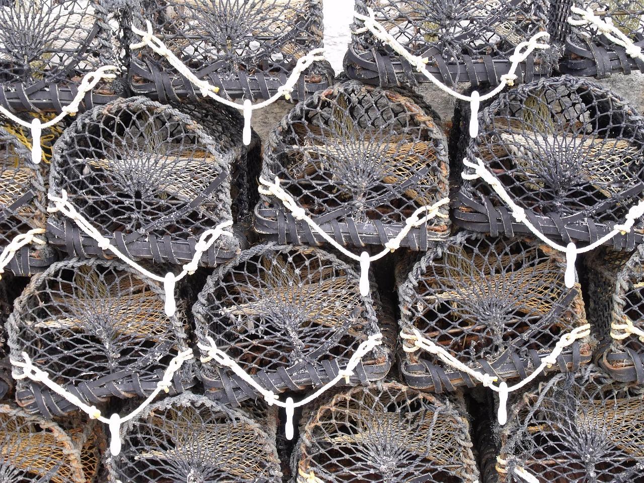 蚊帐里有蚊子怎么办