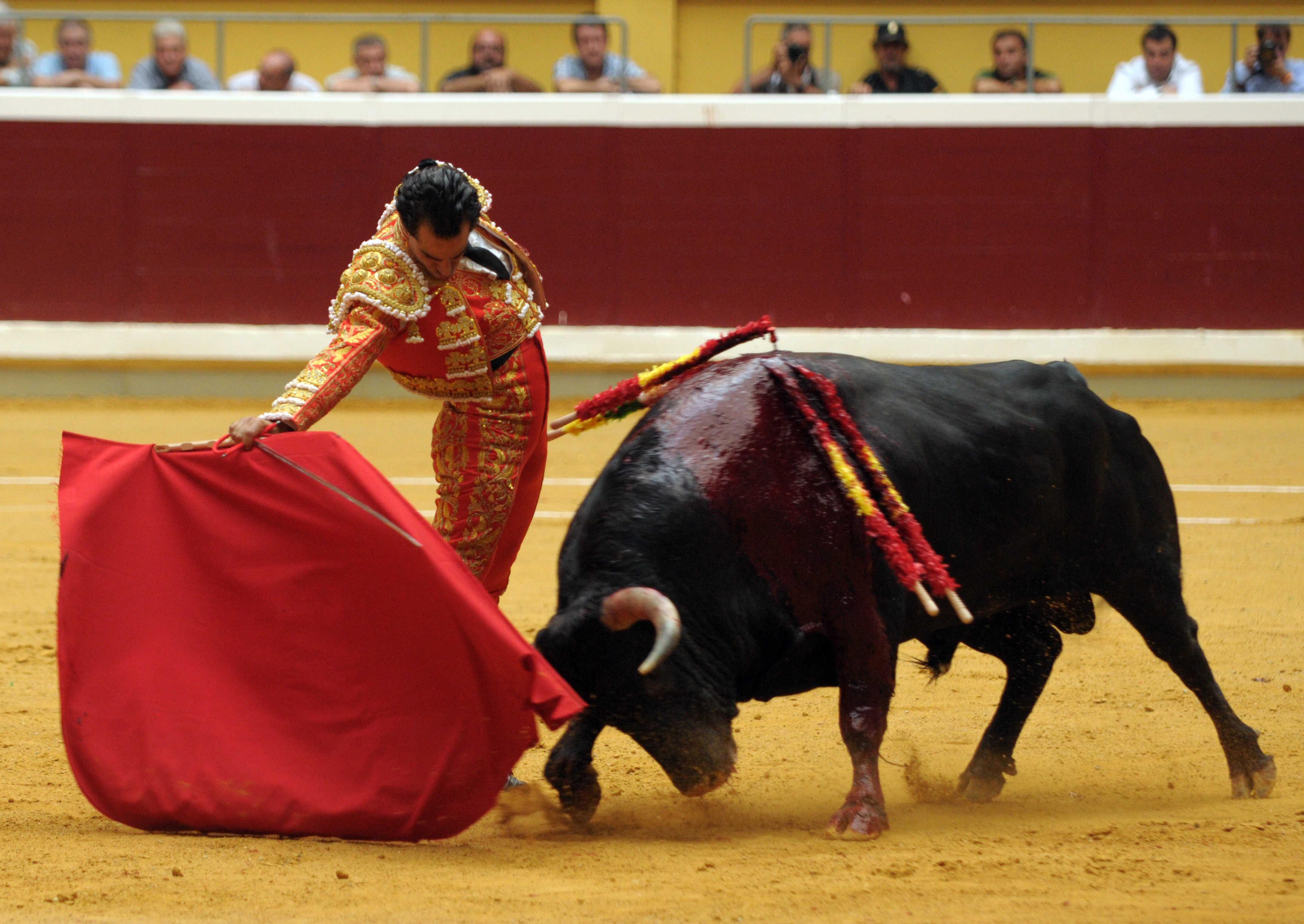 勇敢的西班牙斗牛士