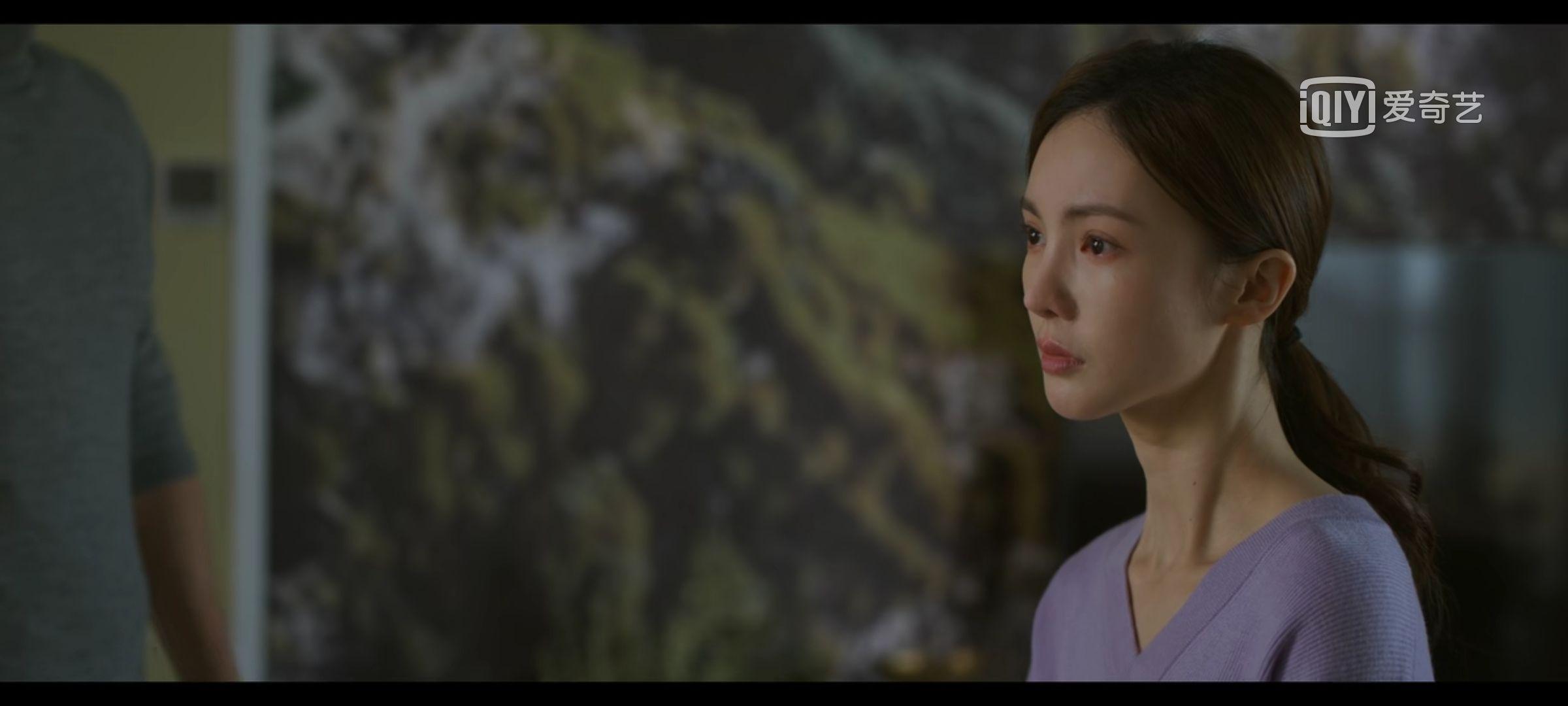 如何评价冯小刚导演,蓝盈莹,金晨,啜妮,隋源主演的电视剧《北辙南辕》