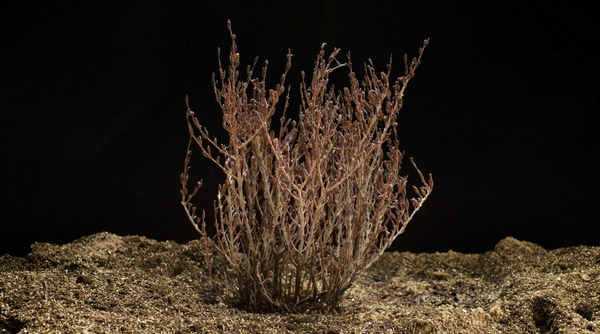 刘看山的护肤观察员初体验阿玛尼黑钥匙面霜